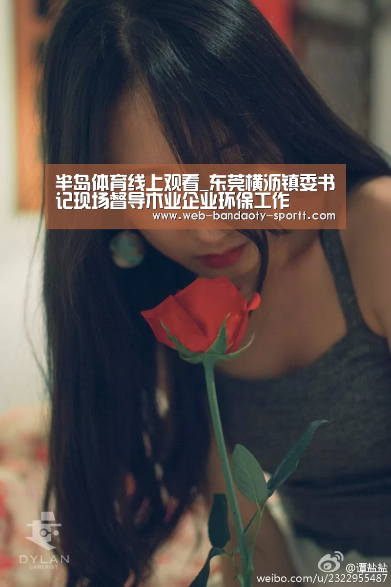半岛体育线上观看_东莞横沥镇委书记现场督导木业企业环保工作(图1) 半岛体育体育网