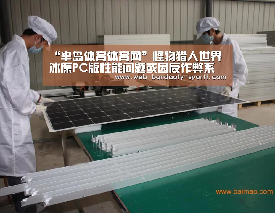 “半岛体育体育网”怪物猎人世界冰原PC版性能问题或因反作弊系统引起(图4) 半岛体育线上观看