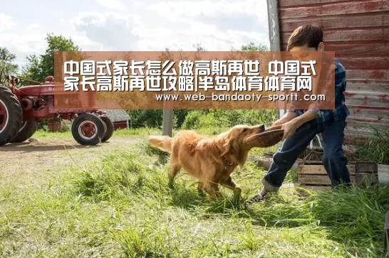 中国式家长怎么做高斯再世 中国式家长高斯再世攻略|半岛体育体育网(图1) 半岛体育下载