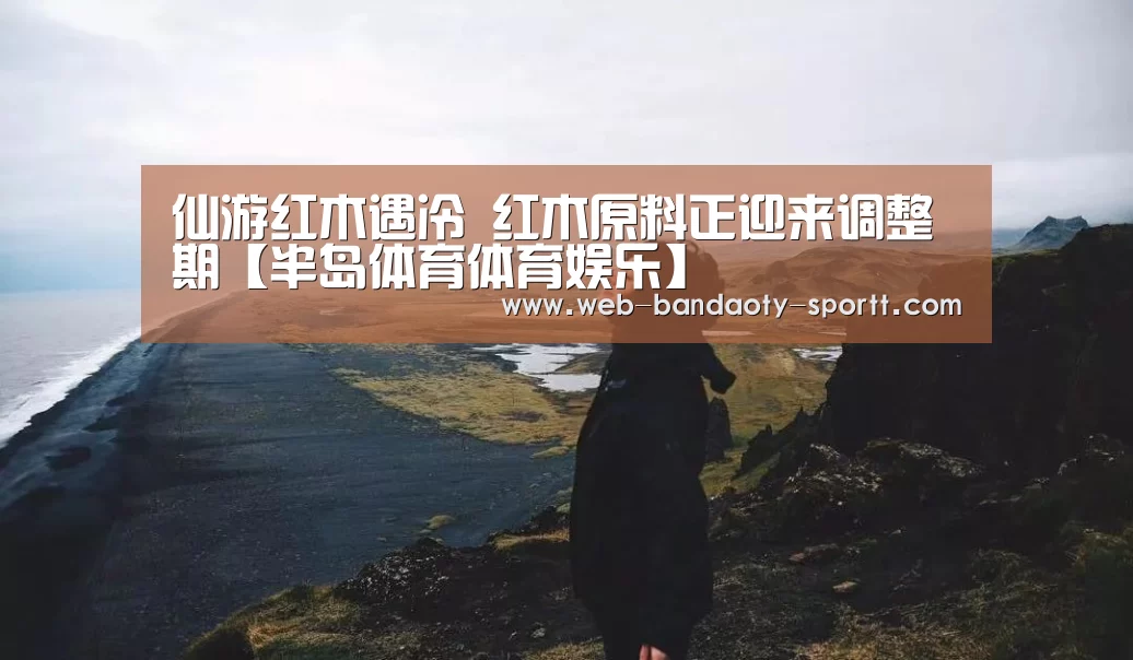 半岛体育体育网