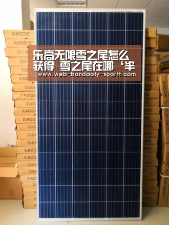 半岛体育体育网