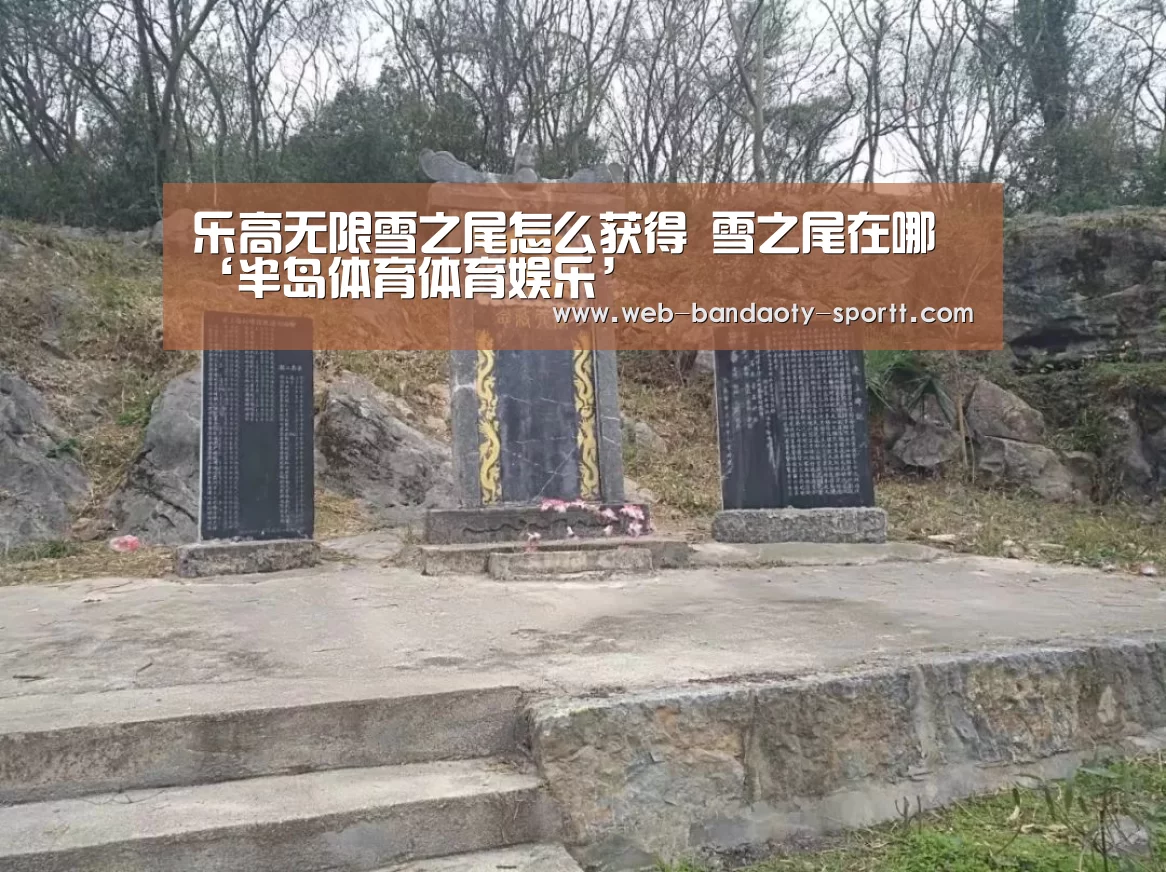 半岛体育体育网
