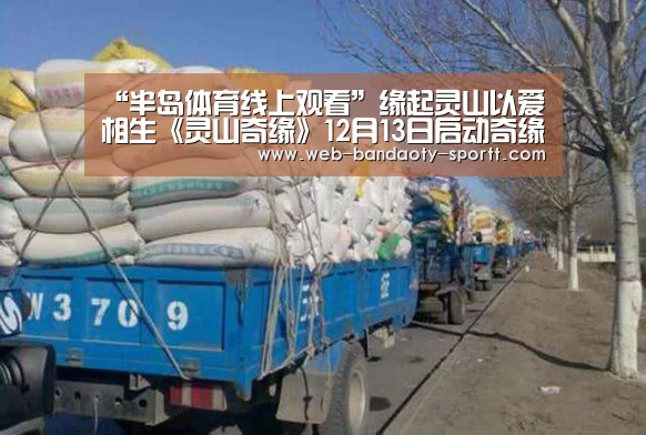 半岛体育体育网
