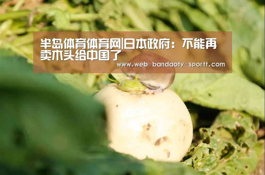 半岛体育下载