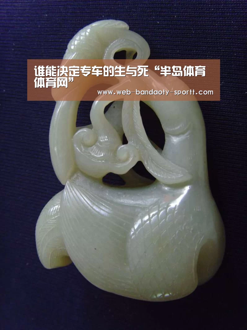 谁能决定专车的生与死“半岛体育体育网”(图1) 半岛体育体育娱乐