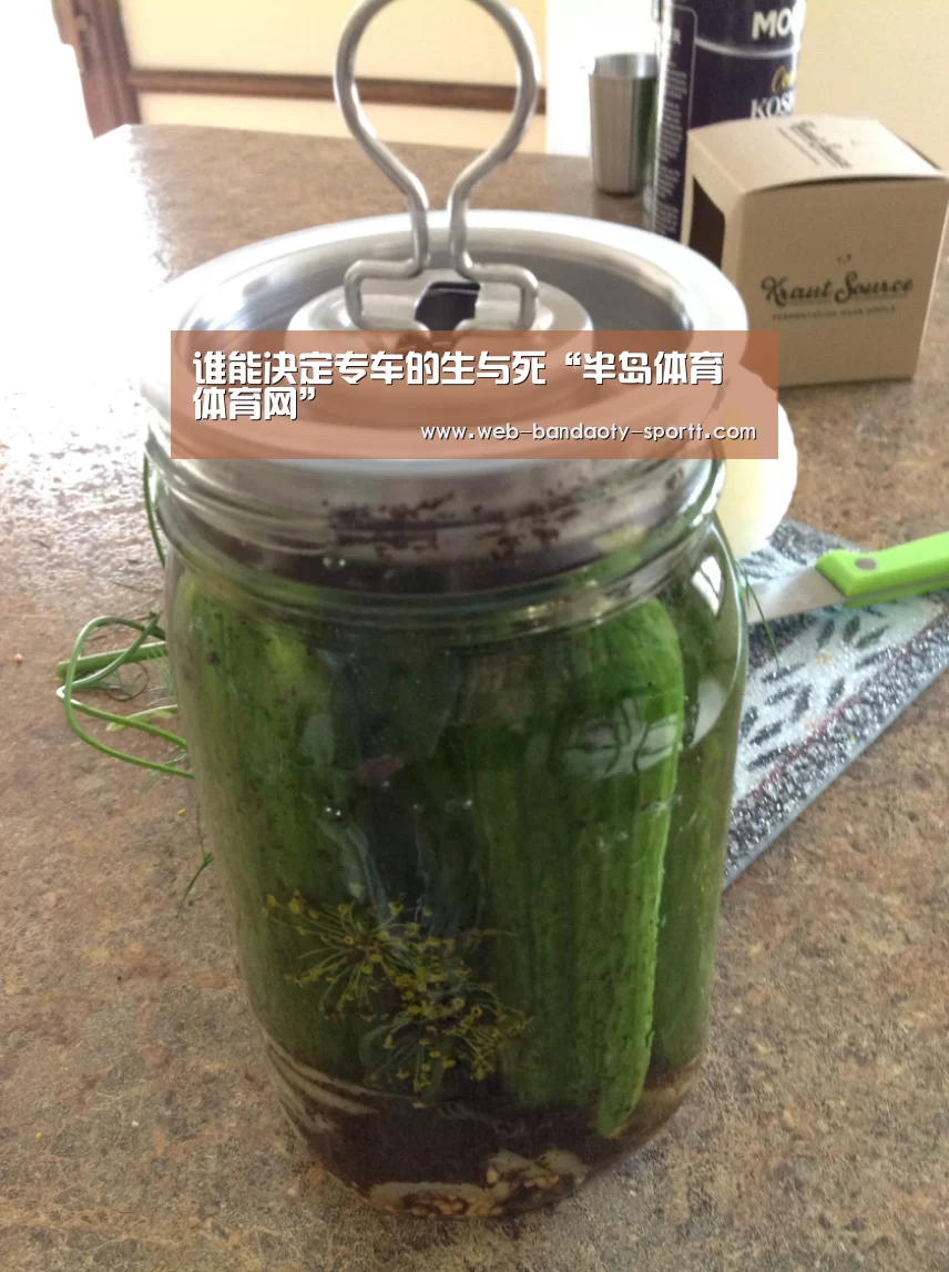 谁能决定专车的生与死“半岛体育体育网”(图4) 半岛体育体育网