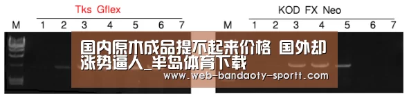 国内原木成品提不起来价格 国外却涨势逼人_半岛体育下载(图1) 半岛体育体育网